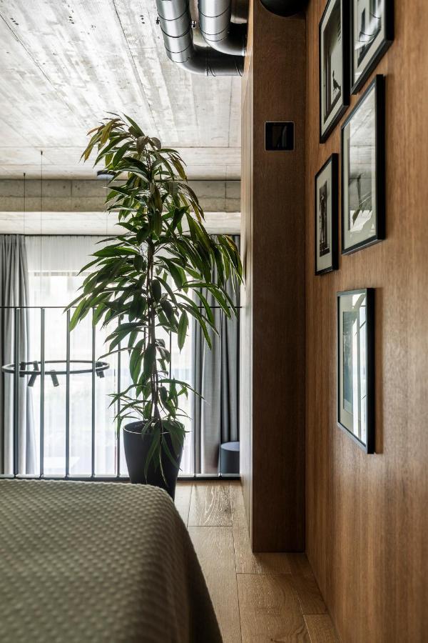 ヴィリニュスStylish Loft With Terrace Paupys, Old Townアパートメント エクステリア 写真